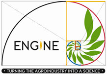 logotipo
